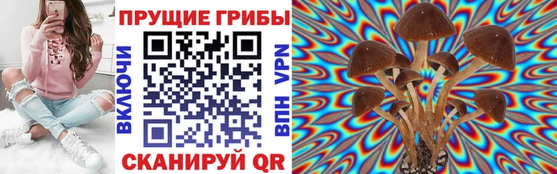 Купить закладки  Вихоревка  Псилоцибиновые грибы ЛСД 